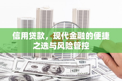 平乡信用贷款，现代金融的便捷之选与风险管控