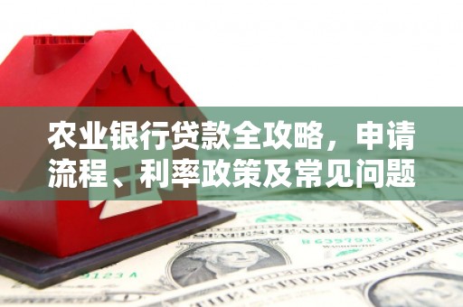 平乡农业银行贷款全攻略，申请流程、利率政策及常见问题解析