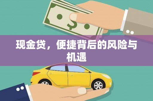 平乡现金贷，便捷背后的风险与机遇