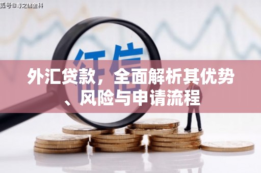 平乡外汇贷款，全面解析其优势、风险与申请流程