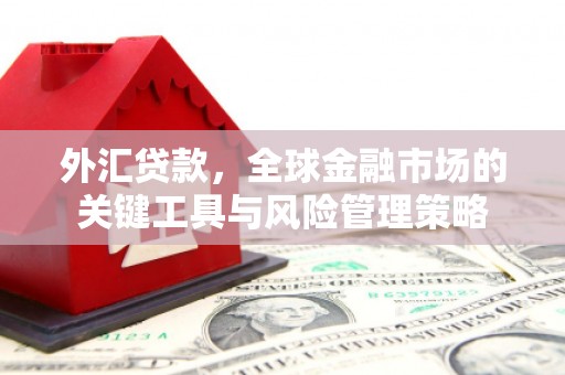 平乡外汇贷款，全球金融市场的关键工具与风险管理策略