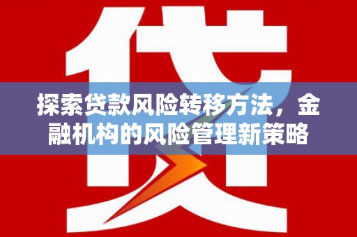 平乡探索贷款风险转移方法，金融机构的风险管理新策略