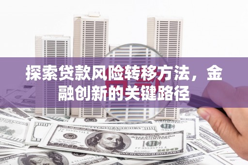 平乡探索贷款风险转移方法，金融创新的关键路径
