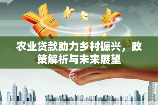 平乡农业贷款助力乡村振兴，政策解析与未来展望
