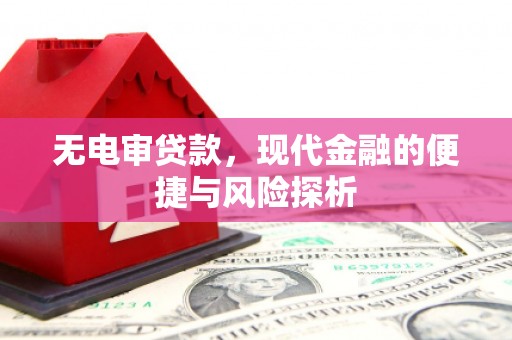 平乡无电审贷款，现代金融的便捷与风险探析