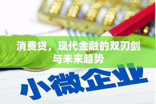 平乡消费贷，现代金融的双刃剑与未来趋势