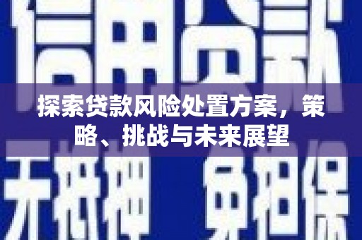 平乡探索贷款风险处置方案，策略、挑战与未来展望