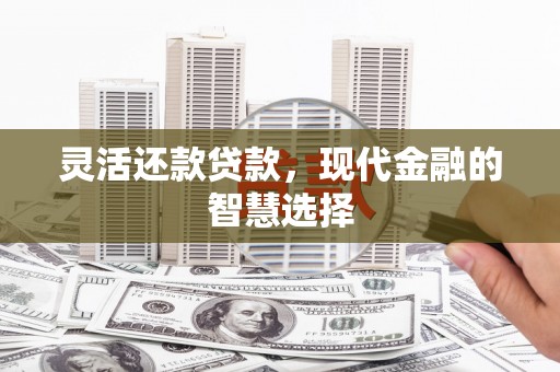 平乡灵活还款贷款，现代金融的智慧选择