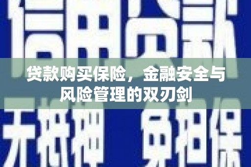 平乡贷款购买保险，金融安全与风险管理的双刃剑