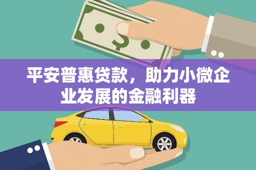 平乡平安普惠贷款，助力小微企业发展的金融利器