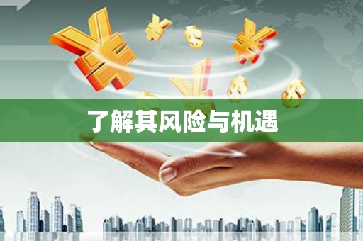 平乡了解其风险与机遇