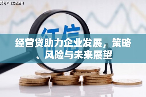平乡经营贷助力企业发展，策略、风险与未来展望