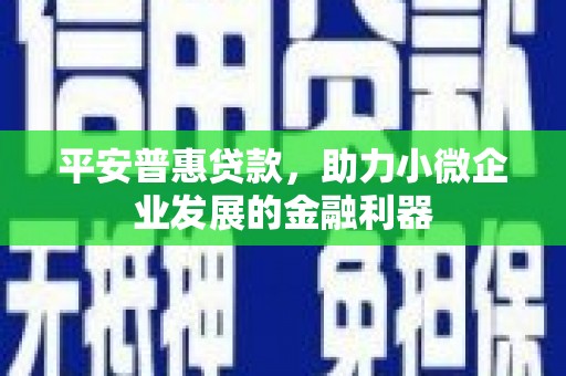 平乡平安普惠贷款，助力小微企业发展的金融利器