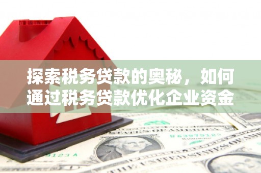平乡探索税务贷款的奥秘，如何通过税务贷款优化企业资金流