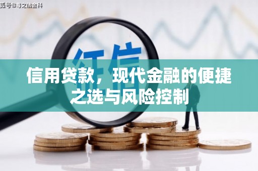 平乡信用贷款，现代金融的便捷之选与风险控制