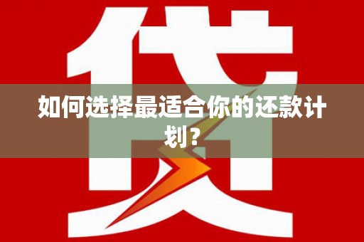 平乡如何选择最适合你的还款计划？