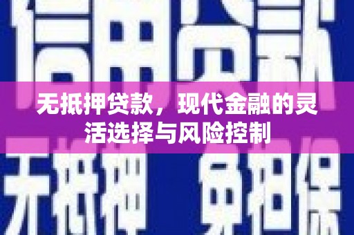 平乡无抵押贷款，现代金融的灵活选择与风险控制