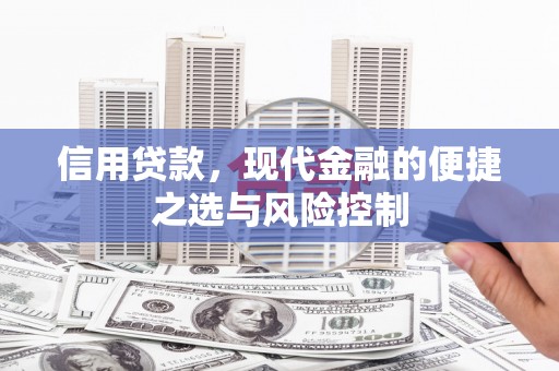 平乡信用贷款，现代金融的便捷之选与风险控制