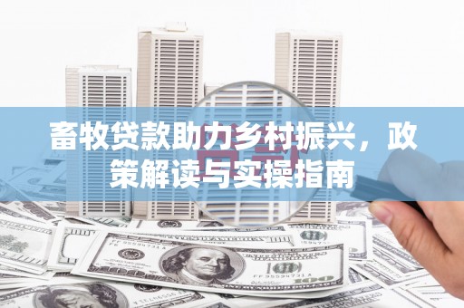 平乡畜牧贷款助力乡村振兴，政策解读与实操指南