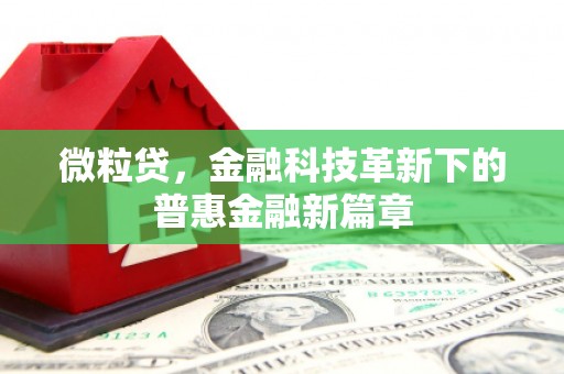 平乡微粒贷，金融科技革新下的普惠金融新篇章