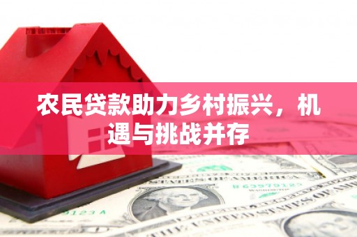 平乡农民贷款助力乡村振兴，机遇与挑战并存