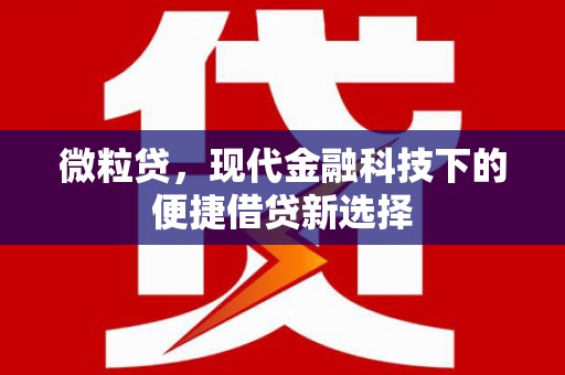 平乡微粒贷，现代金融科技下的便捷借贷新选择