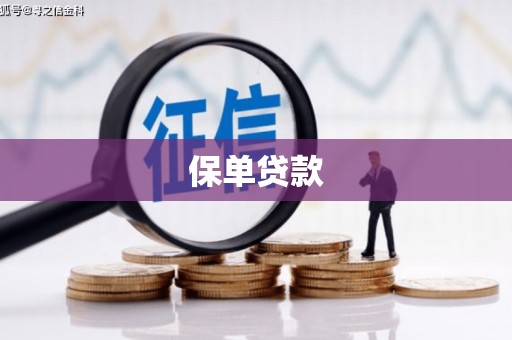 平乡保单贷款