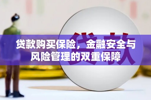平乡贷款购买保险，金融安全与风险管理的双重保障