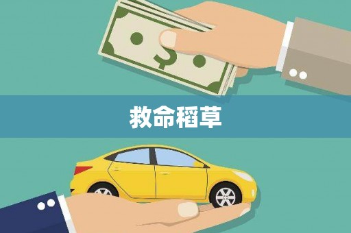 平乡救命稻草