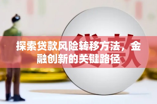 平乡探索贷款风险转移方法，金融创新的关键路径