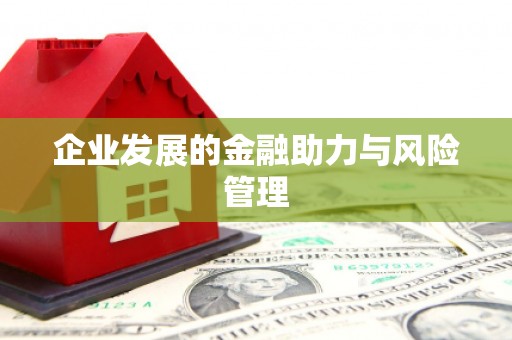 平乡企业发展的金融助力与风险管理