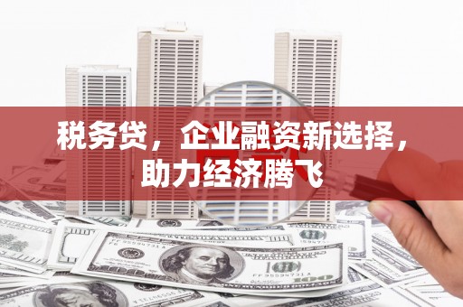 平乡税务贷，企业融资新选择，助力经济腾飞