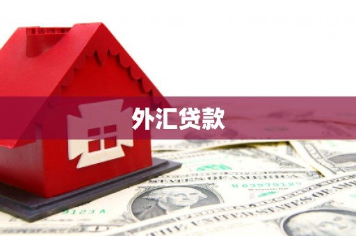 平乡外汇贷款