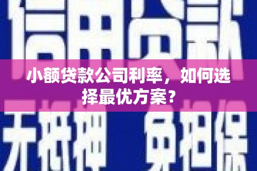 平乡小额贷款公司利率，如何选择最优方案？
