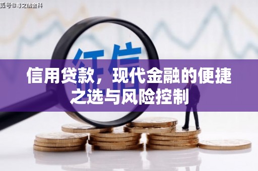平乡信用贷款，现代金融的便捷之选与风险控制