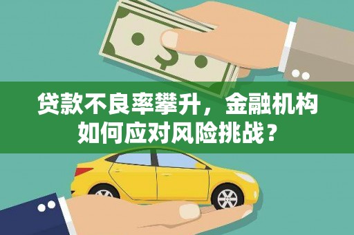 平乡贷款不良率攀升，金融机构如何应对风险挑战？