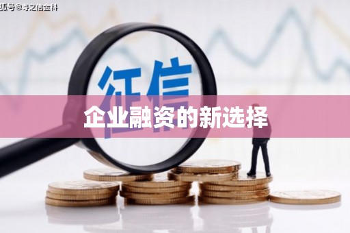 平乡企业融资的新选择