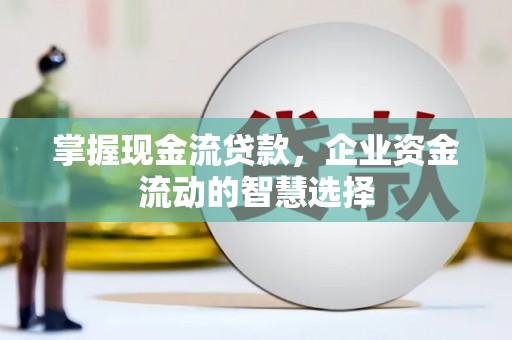 平乡掌握现金流贷款，企业资金流动的智慧选择