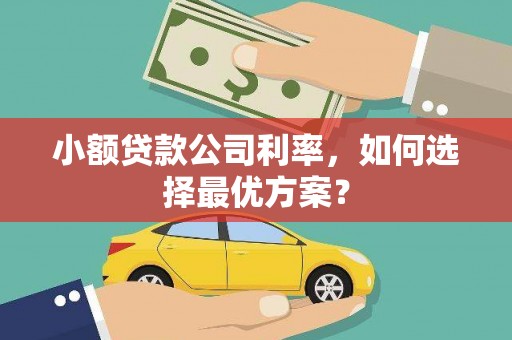 平乡小额贷款公司利率，如何选择最优方案？