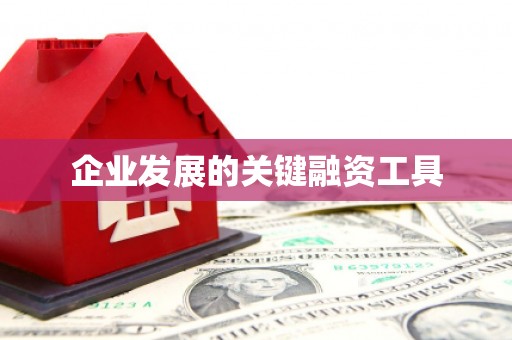 平乡企业发展的关键融资工具