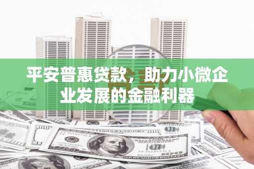 平乡平安普惠贷款，助力小微企业发展的金融利器
