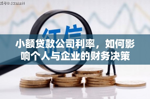 平乡小额贷款公司利率，如何影响个人与企业的财务决策