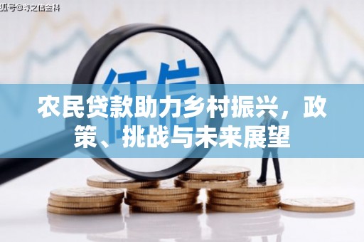 平乡农民贷款助力乡村振兴，政策、挑战与未来展望