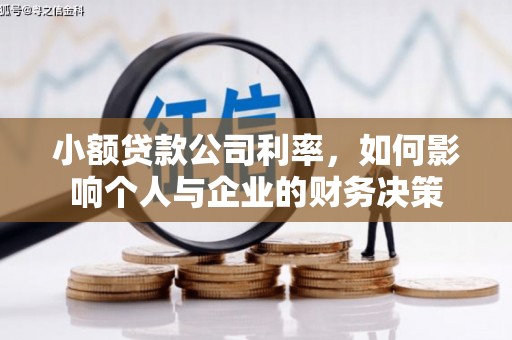 平乡小额贷款公司利率，如何影响个人与企业的财务决策