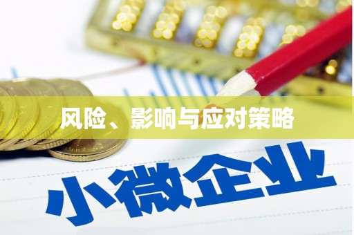 平乡风险、影响与应对策略