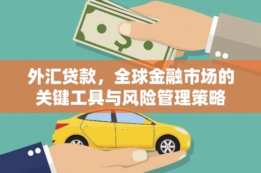 平乡外汇贷款，全球金融市场的关键工具与风险管理策略