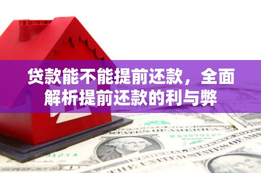 平乡贷款能不能提前还款，全面解析提前还款的利与弊