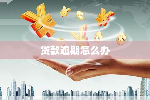平乡贷款逾期怎么办