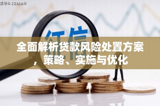 平乡全面解析贷款风险处置方案，策略、实施与优化