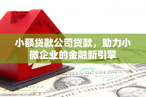 平乡小额贷款公司贷款，助力小微企业的金融新引擎
